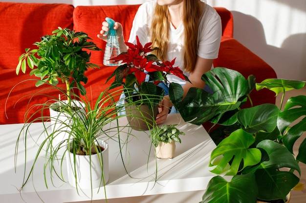 Jakie rośliny do domu i ogrodu sprawdzą się w polskim klimacie?