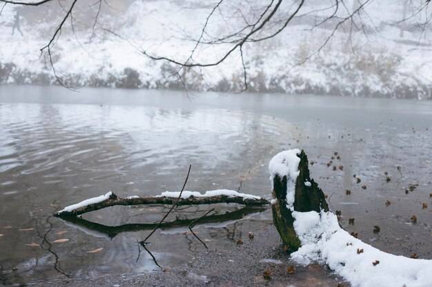 Czy karmić ryby w oczku zimą?