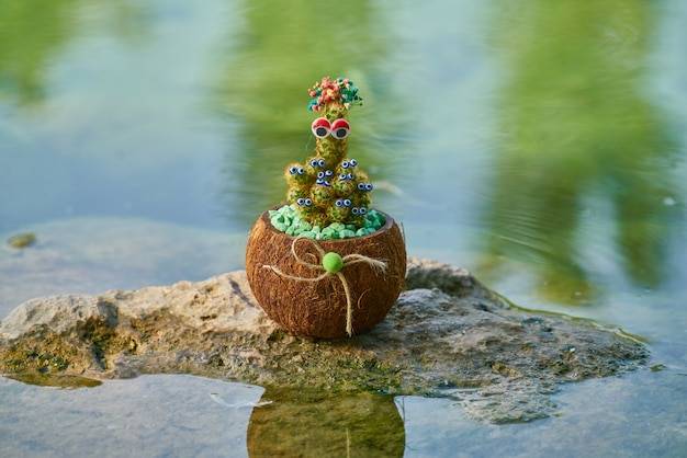 Jak ozdobić małe oczko wodne w ogrodzie?