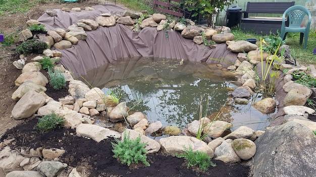 Jak zbudować małe oczko wodne w przydomowym ogrodzie?